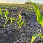 Mazzilli expondrá sobre las “luces verdes” y las “amarillas o rojas” del sistema agrícola